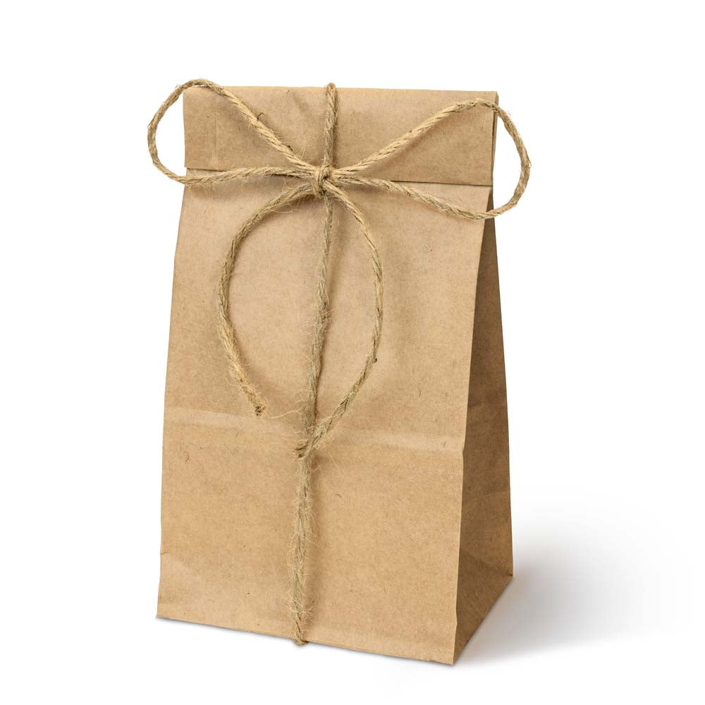 Torba papierowa klockowa 100x70x260mm Brązowa 1000szt.