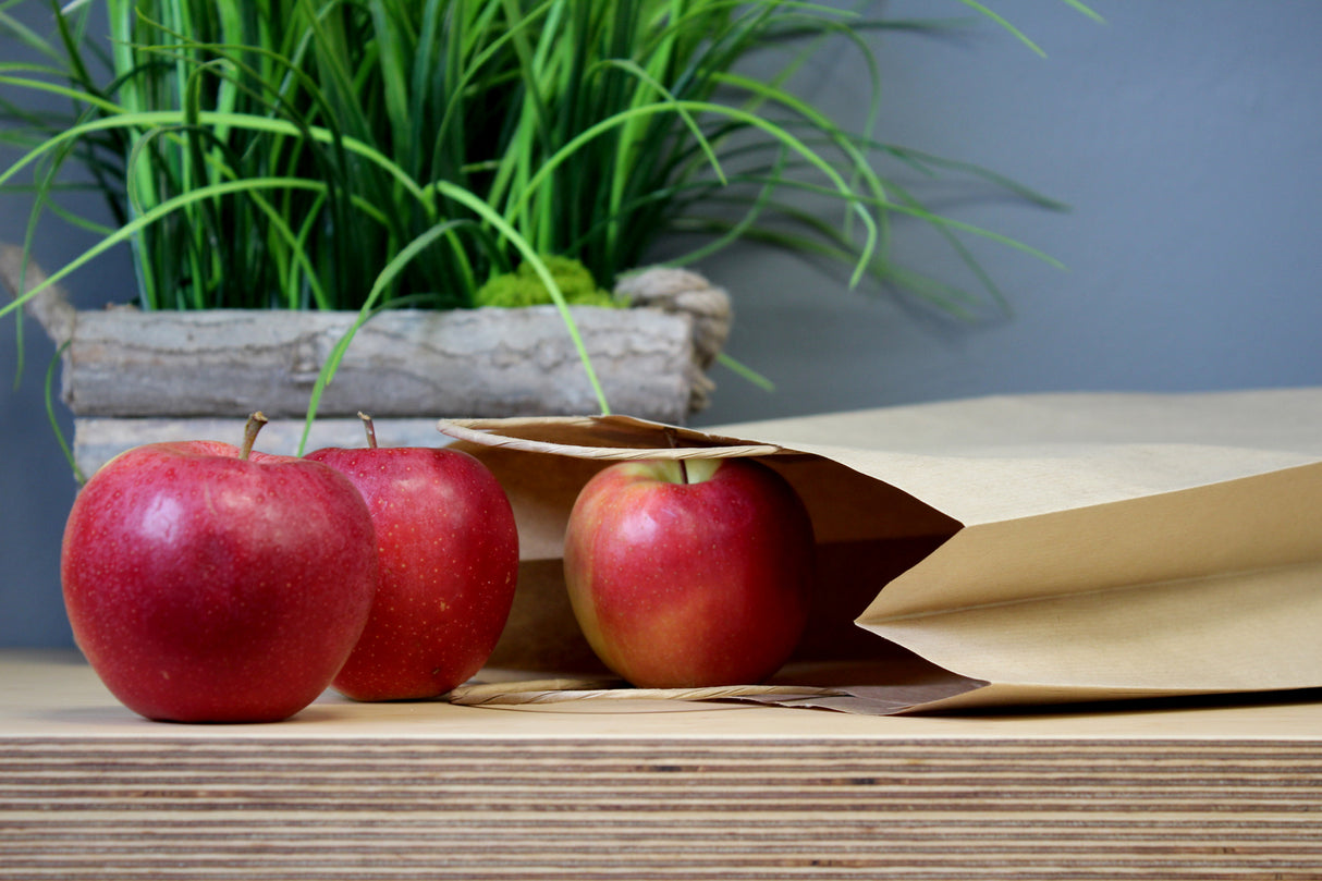 Torba papierowa z uchwytem skręcanym 300x170x425mm Brązowa