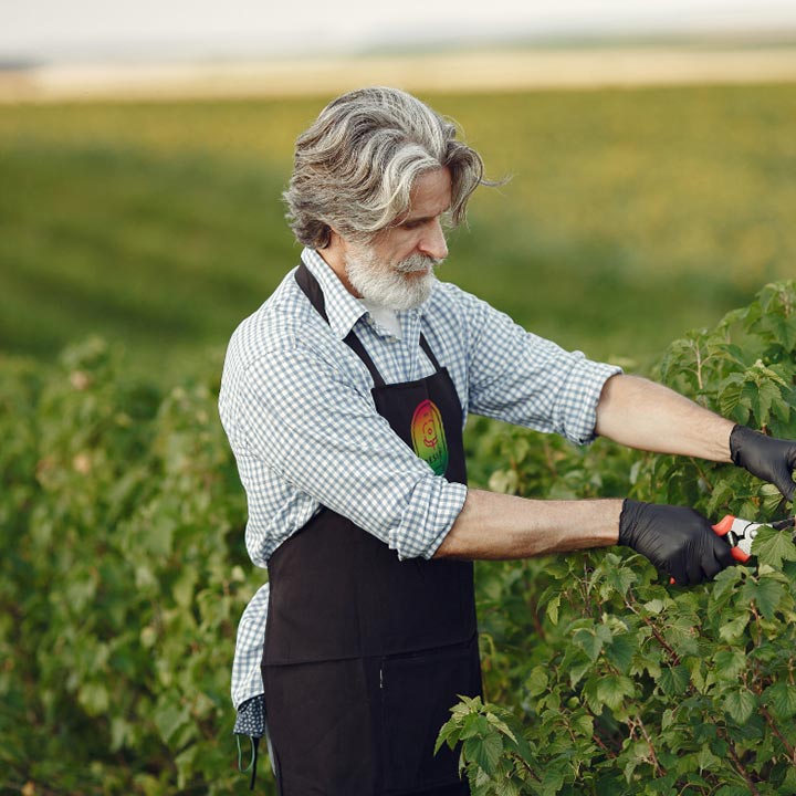 Fartuch kuchenny z własnym nadrukiem CZARNY
