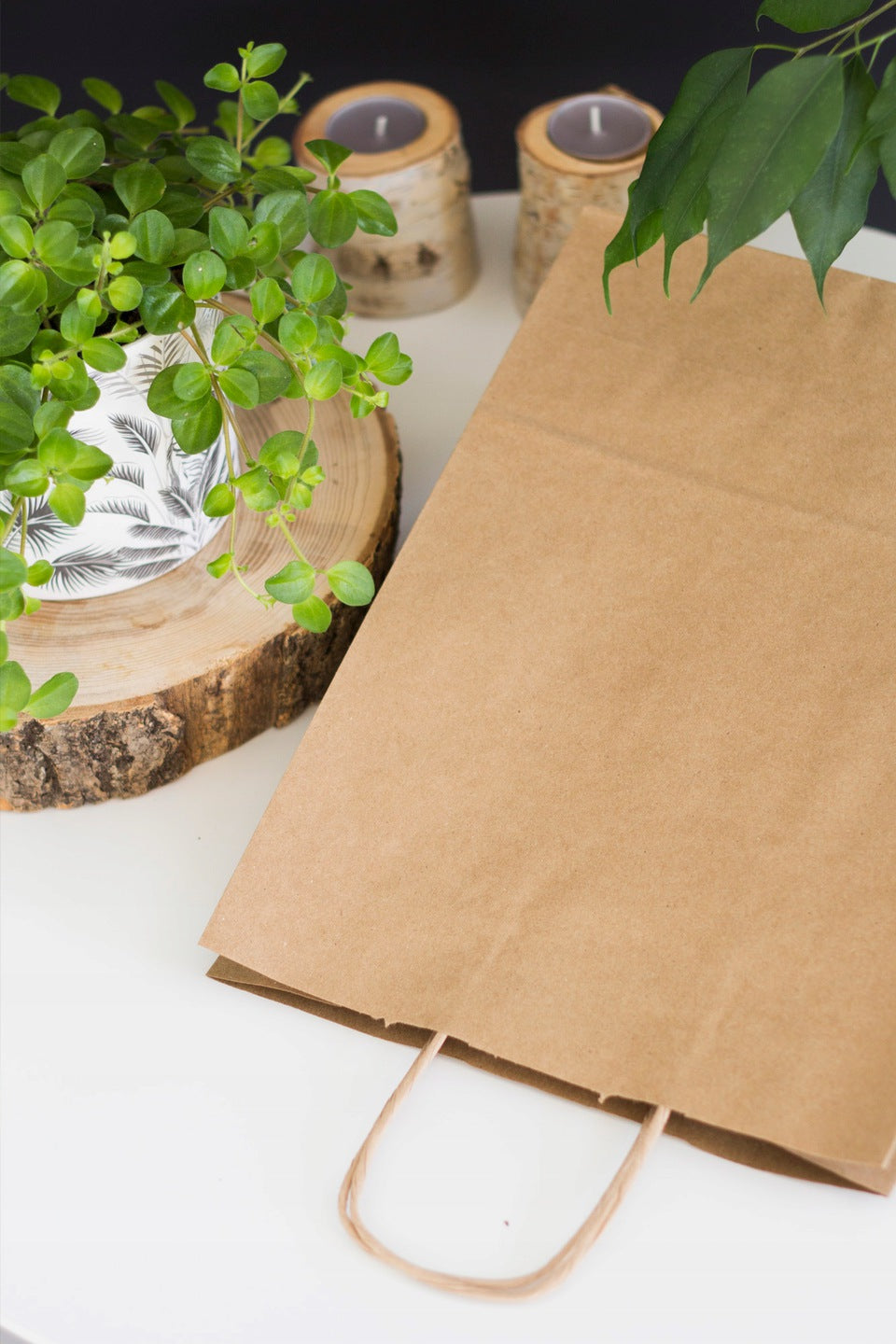 Torba papierowa 240x100x320mm z uchwytem skręcanym Brązowa