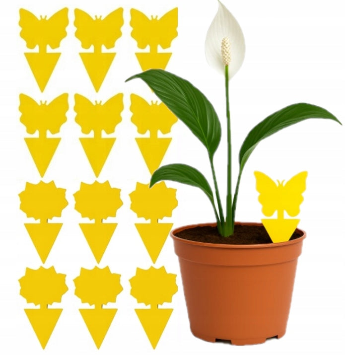 Zestaw 24 szt. lepy na ziemiórki, muszki – do doniczek