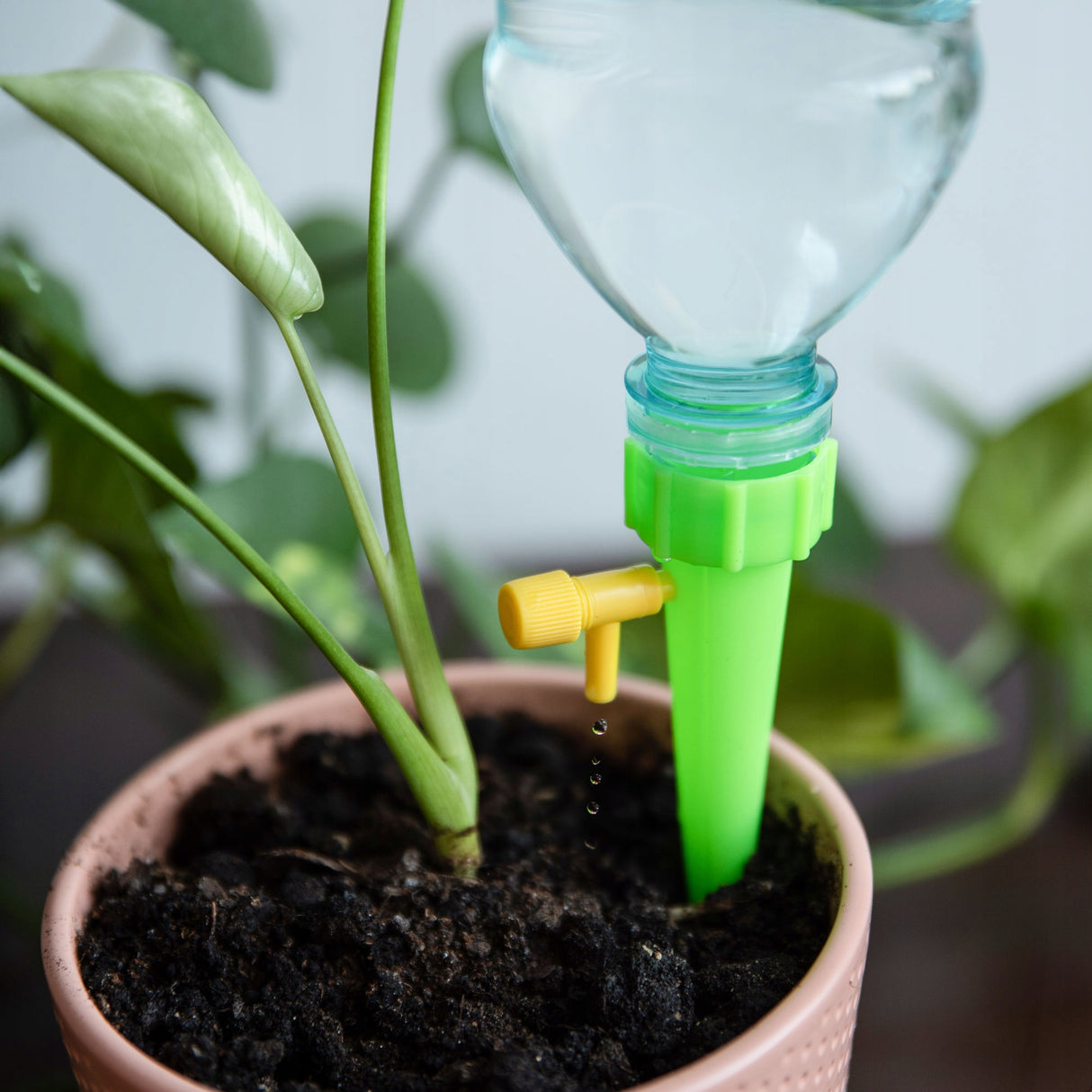 Automatyczny Dozownik Nawadniający do Roślin