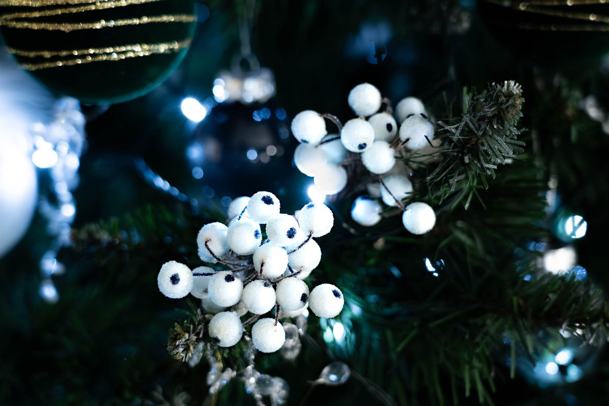 Jarzębina świąteczna Biała