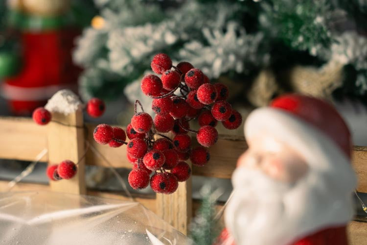 Jarzębina czerwona świąteczna na gałązce