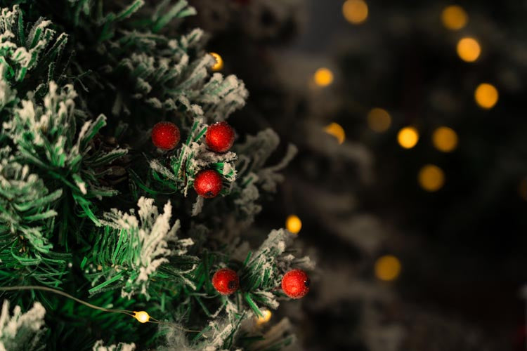 Jarzębina czerwona świąteczna na gałązce