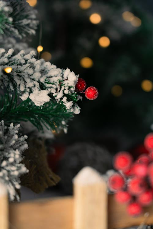 Jarzębina czerwona świąteczna na gałązce