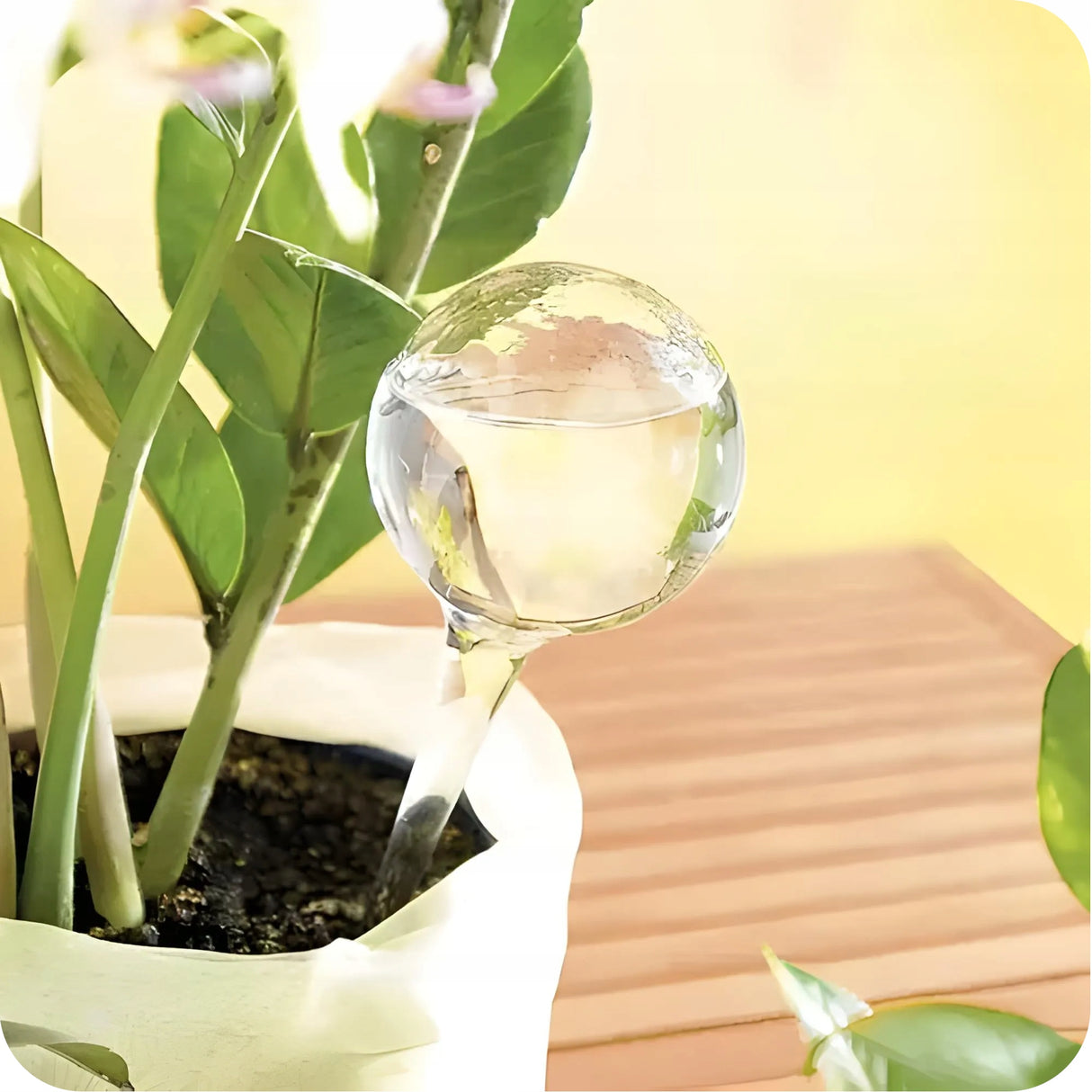 Kule Nawadniające do Roślin 8 szt.