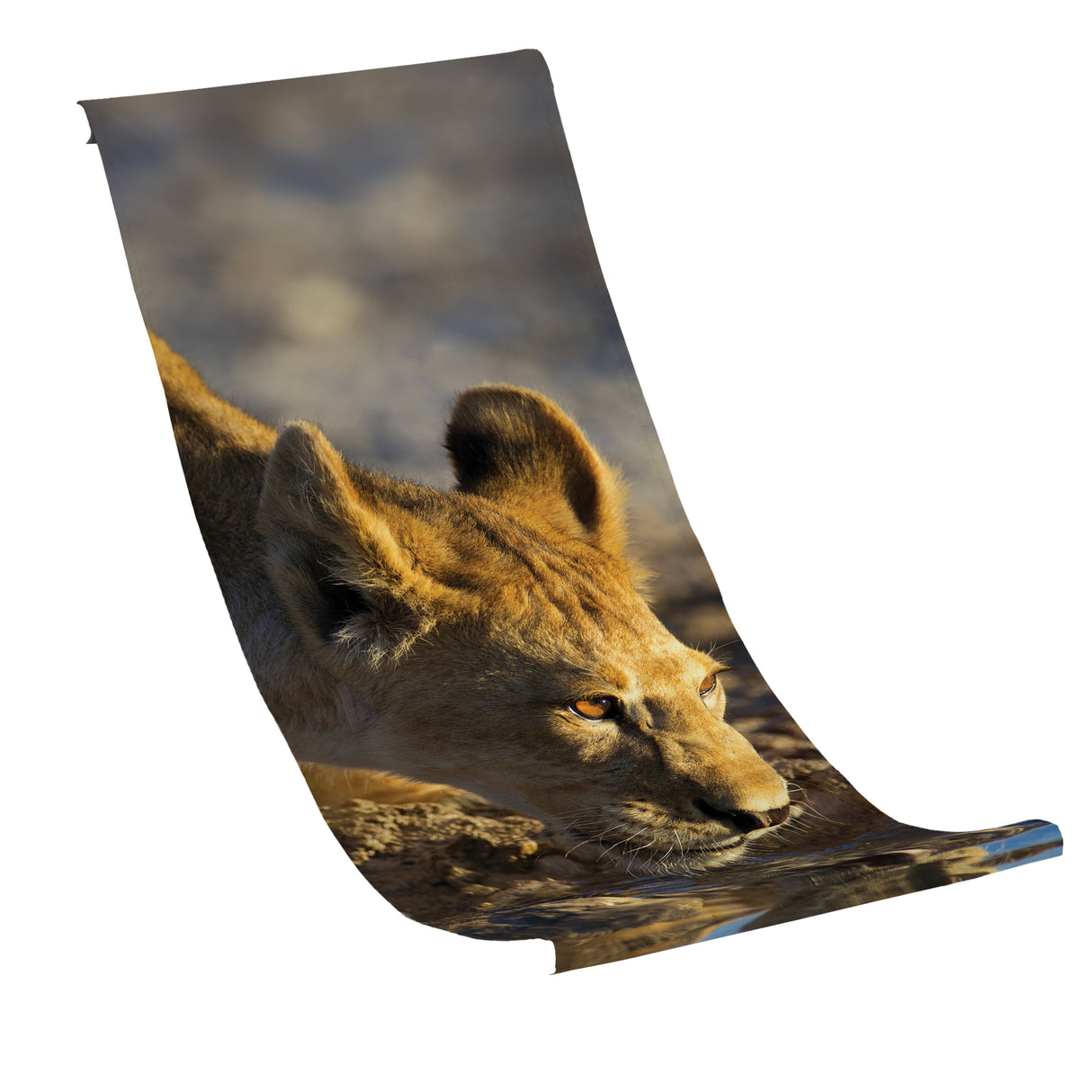 Płachta na Leżak LWICA