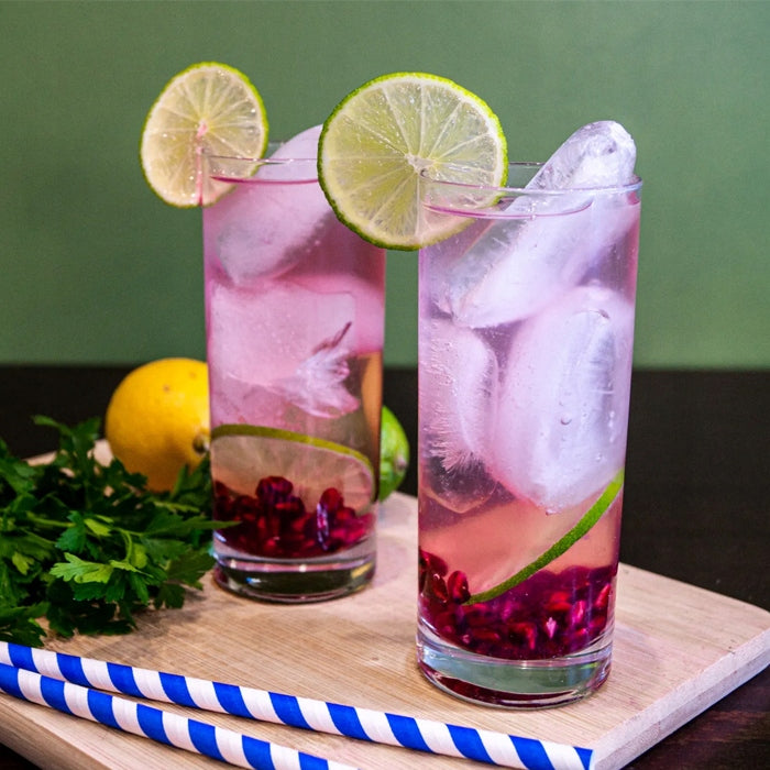 Woreczki do Lodu Paclan XXL