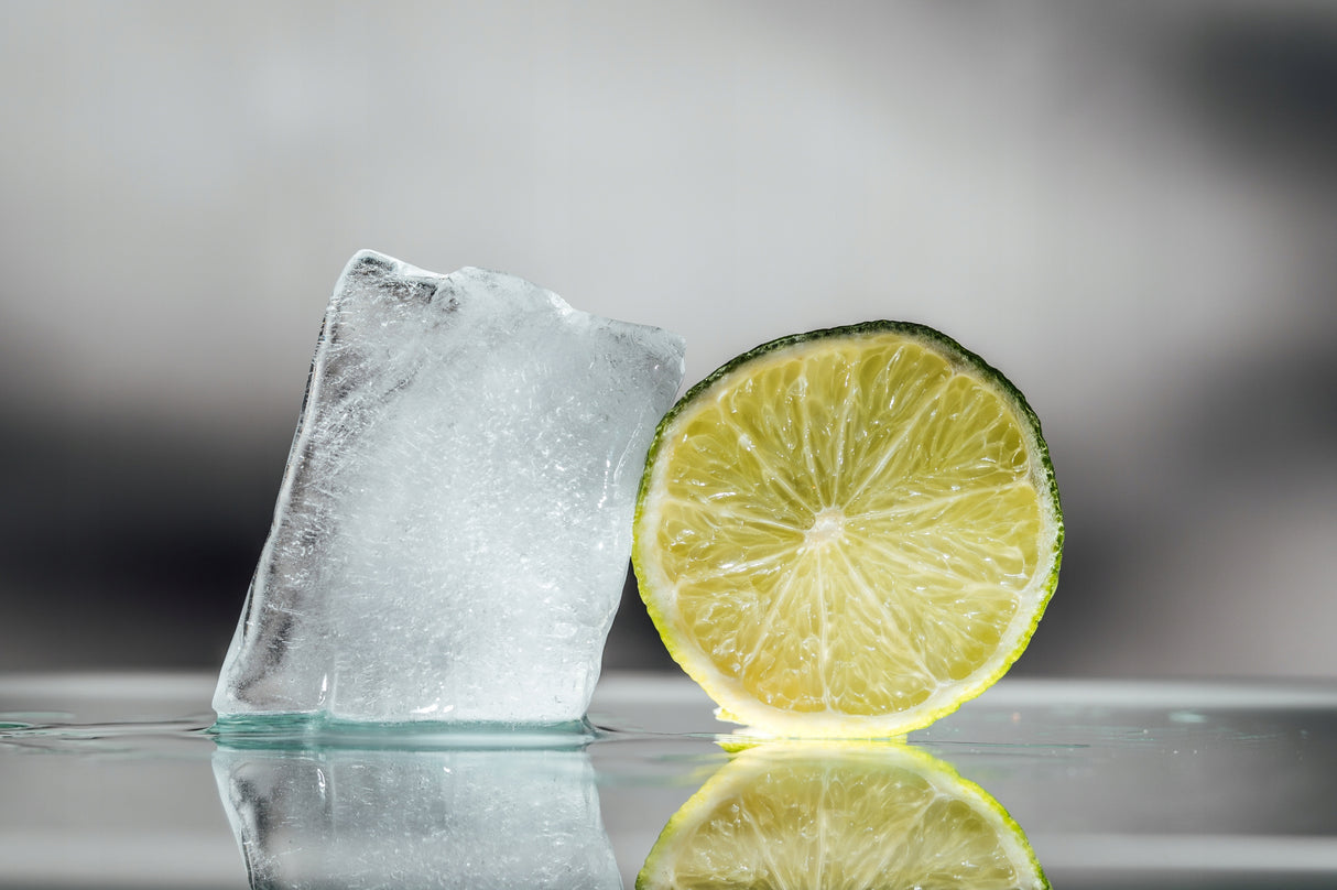 Woreczki do Lodu Paclan XXL