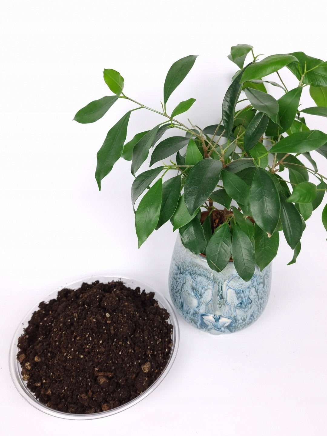 Ziemia do Roślin Bigos 30L