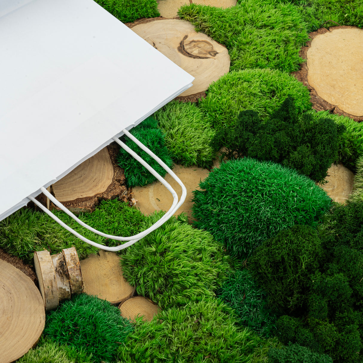 Torba papierowa z uchwytem skręcanym 305x170x340mm Biała