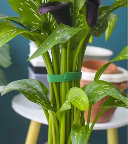 Taśma na rzep ogrodowa do roślin 15 m