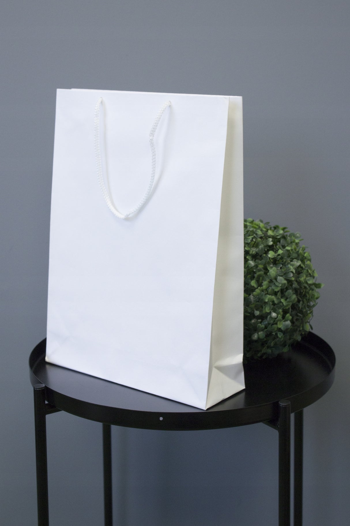 Torba Papierowa ECO Prestige 300x100x400mm Biała