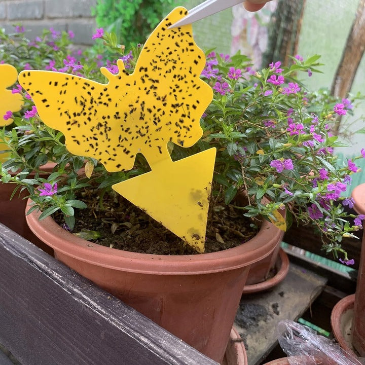 Zestaw 24 szt. lepy na ziemiórki, muszki – do doniczek