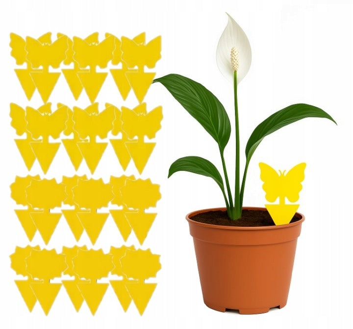 Zestaw 24 szt. lepy na ziemiórki, muszki – do doniczek