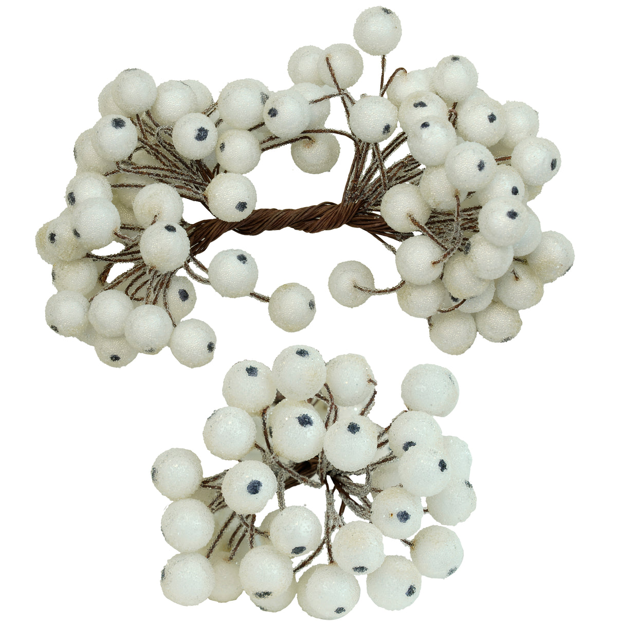 Jarzębina świąteczna Biała