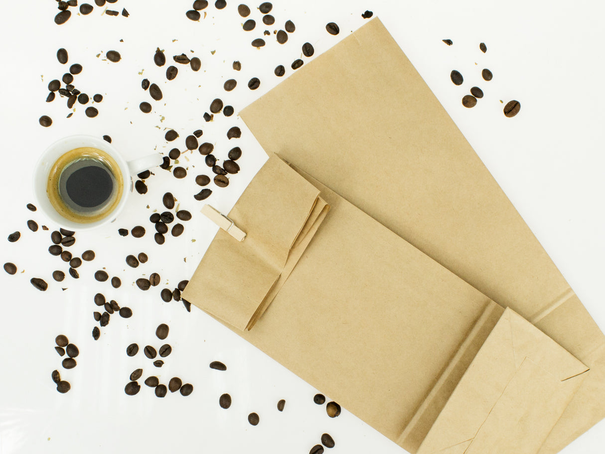 Torba papierowa klockowa 100x70x260mm Brązowa 1000szt.