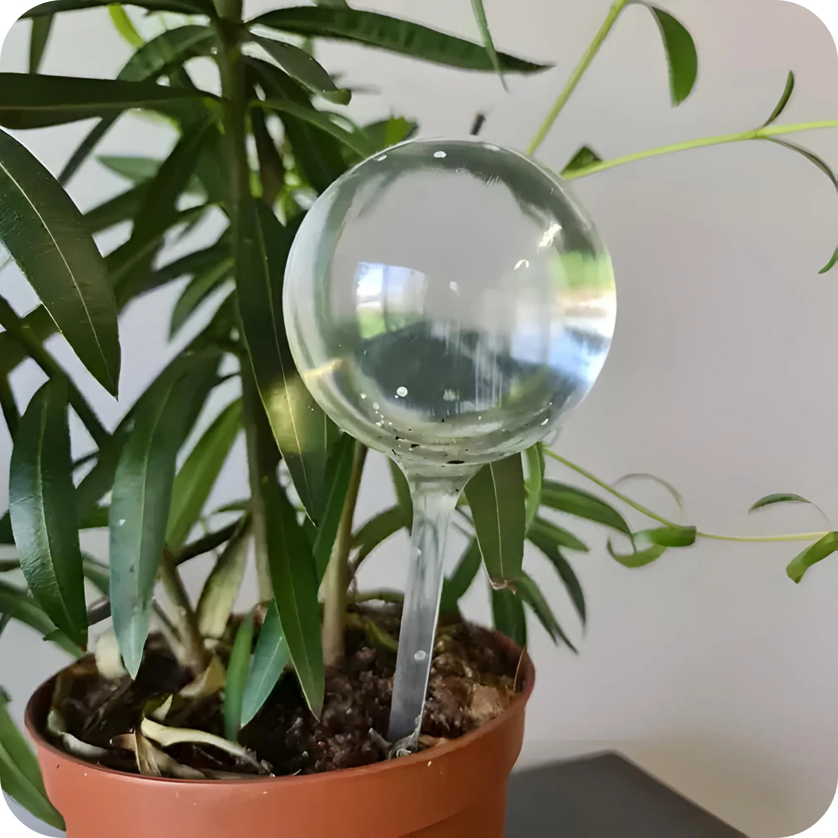 Kule Nawadniające do Roślin 8 szt.