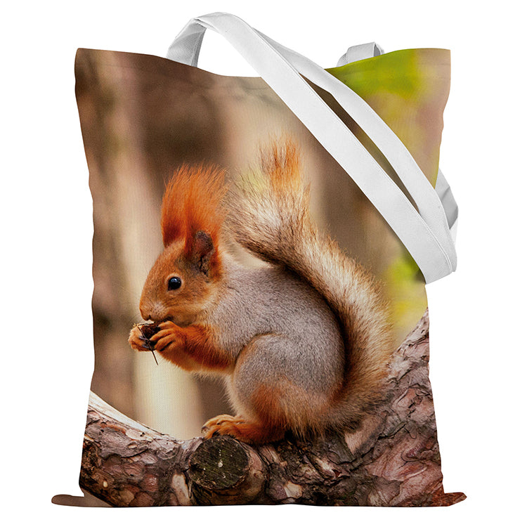 Torba bawełniana 350x450mm WIEWIÓRKA Z ORZESZKIEM