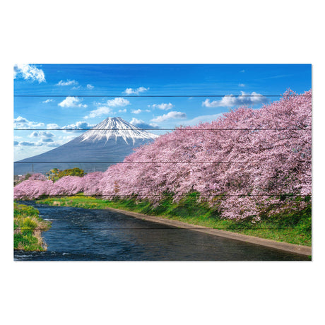Obraz na drewnie Góry wiosną Fuji Mountain in Spring