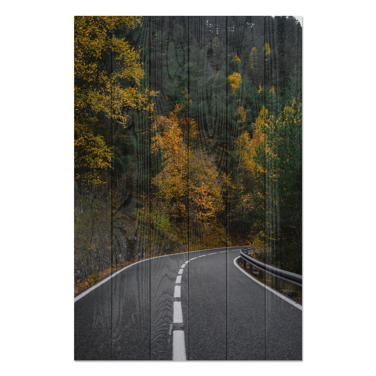 Obraz na drewnie Droga przez las - Road throught the Forest