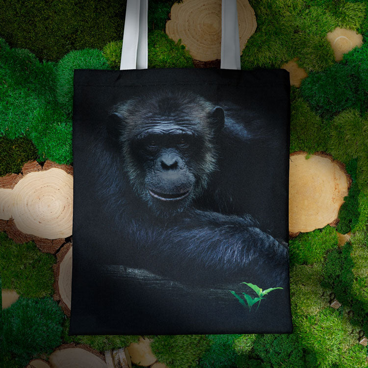 Torba bawełniana 350x450mm SZYMPANS