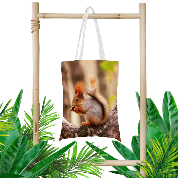 Torba bawełniana 350x450mm WIEWIÓRKA Z ORZESZKIEM