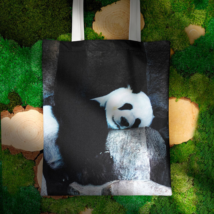 Torba bawełniana 350x450mm ŚPIĄCA PANDA