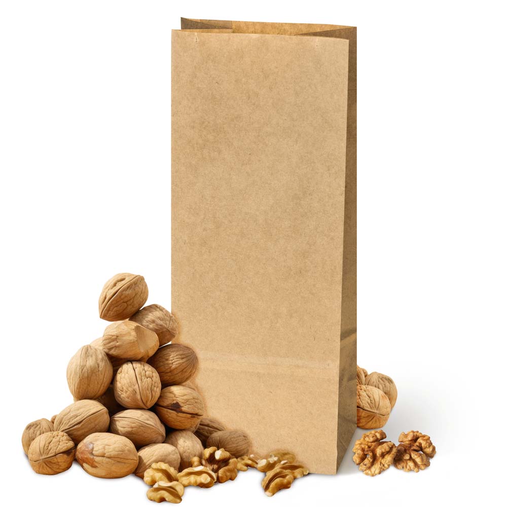 Torba papierowa klockowa 100x70x260mm Brązowa 1000szt.