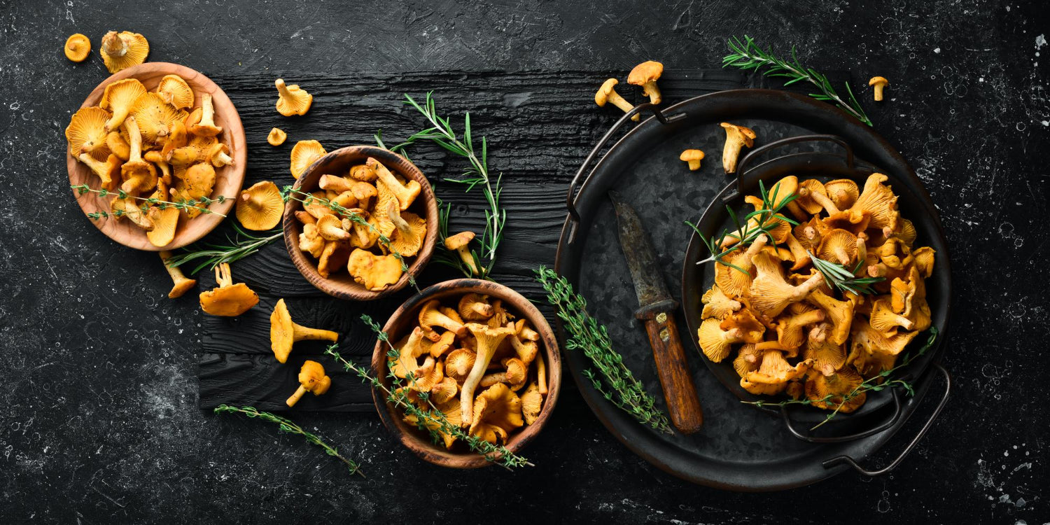 Kurki - jakie wartości odżywcze kryją te złociste grzyby?