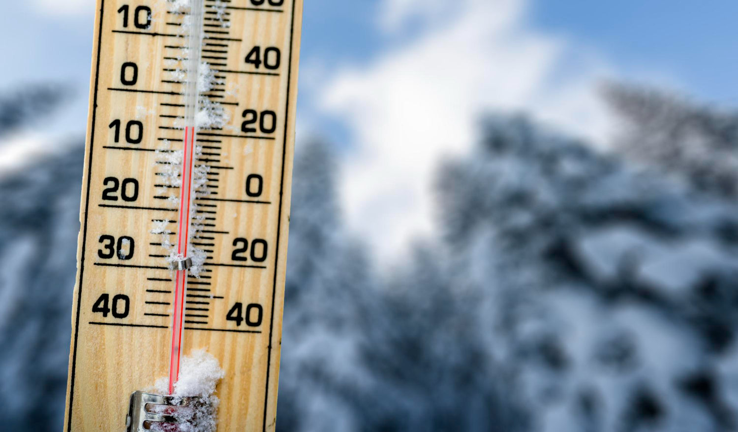 Kiedy jest zimna Zośka i zimni ogrodnicy? Jak chronić rośliny przed przymrozkami w maju?