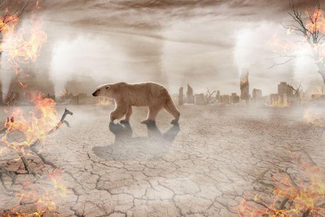 Jak wygląda obecny stan Ziemi? Zanieczyszczenie naszej planety zwiększa się!