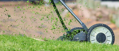 Jak odpowiednio kosić trawę, aby uzyskać piękny i zdrowy trawnik?