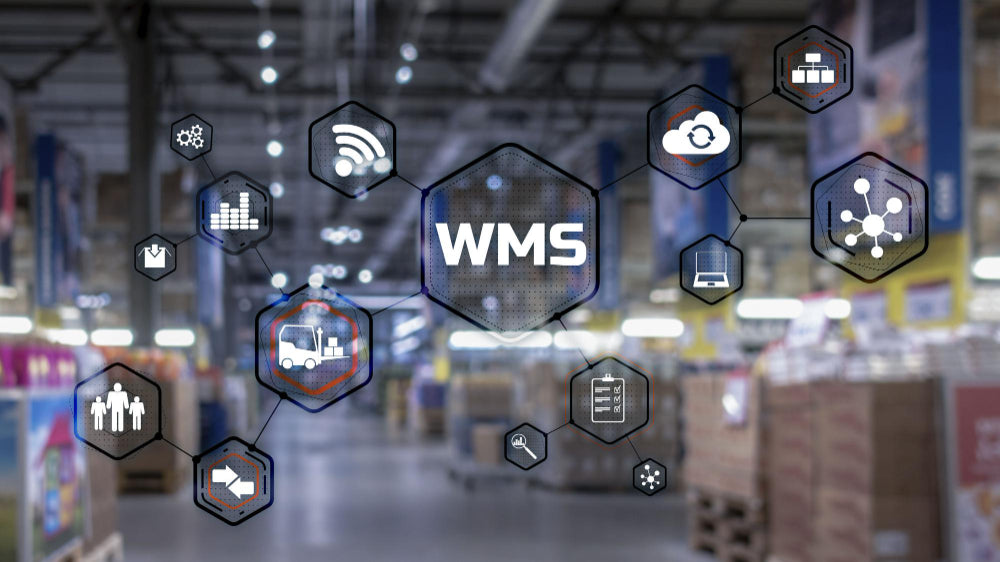 system wms