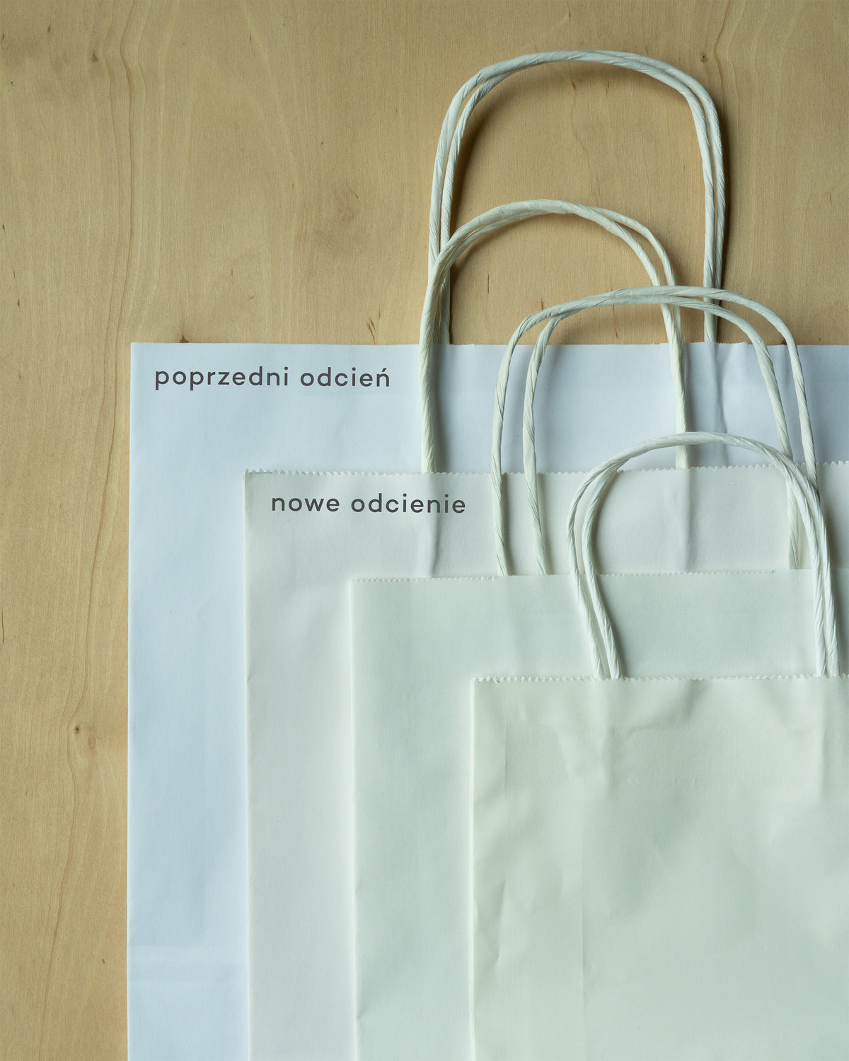Torba Papierowe z Uchwytem Skręcanym 240x100x360mm - Biała