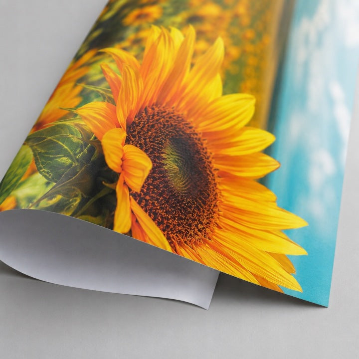 Papier do sublimacji rolka 1,62 x 200m 65gsm