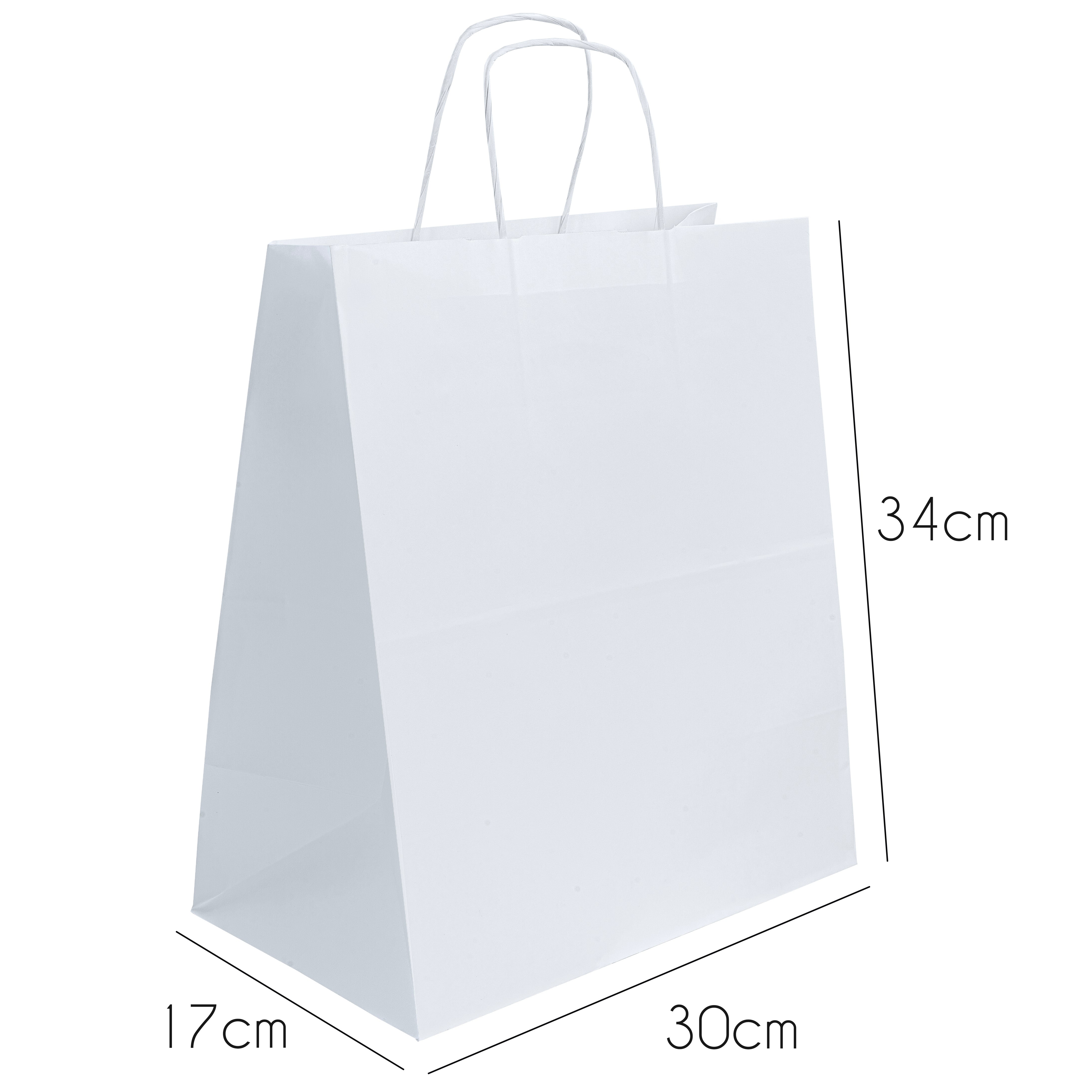 Torba Papierowa 305x170x340mm Z Uchwytem Skręcanym BIAŁA – Allbag