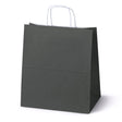 Torba Papierowa z Uchwytem Skręcanym 300x170x340mm Czarna Biały