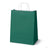 Torba Papierowa z Uchwytem Skręcanym 300x170x425mm -Ciemnozielona Biały