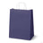 Torba Papierowa z Uchwytem Skręcanym 305x170x425mm - Granatowa Biały