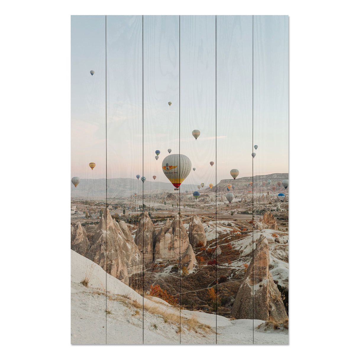 Obraz na drewnie Latające balony - Balloon Flight
