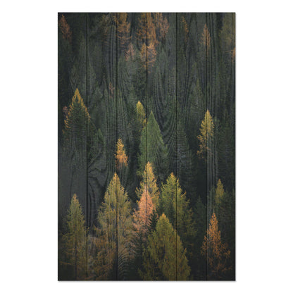 Obraz na drewnie Las z lotu ptaka - Coniferous Forest