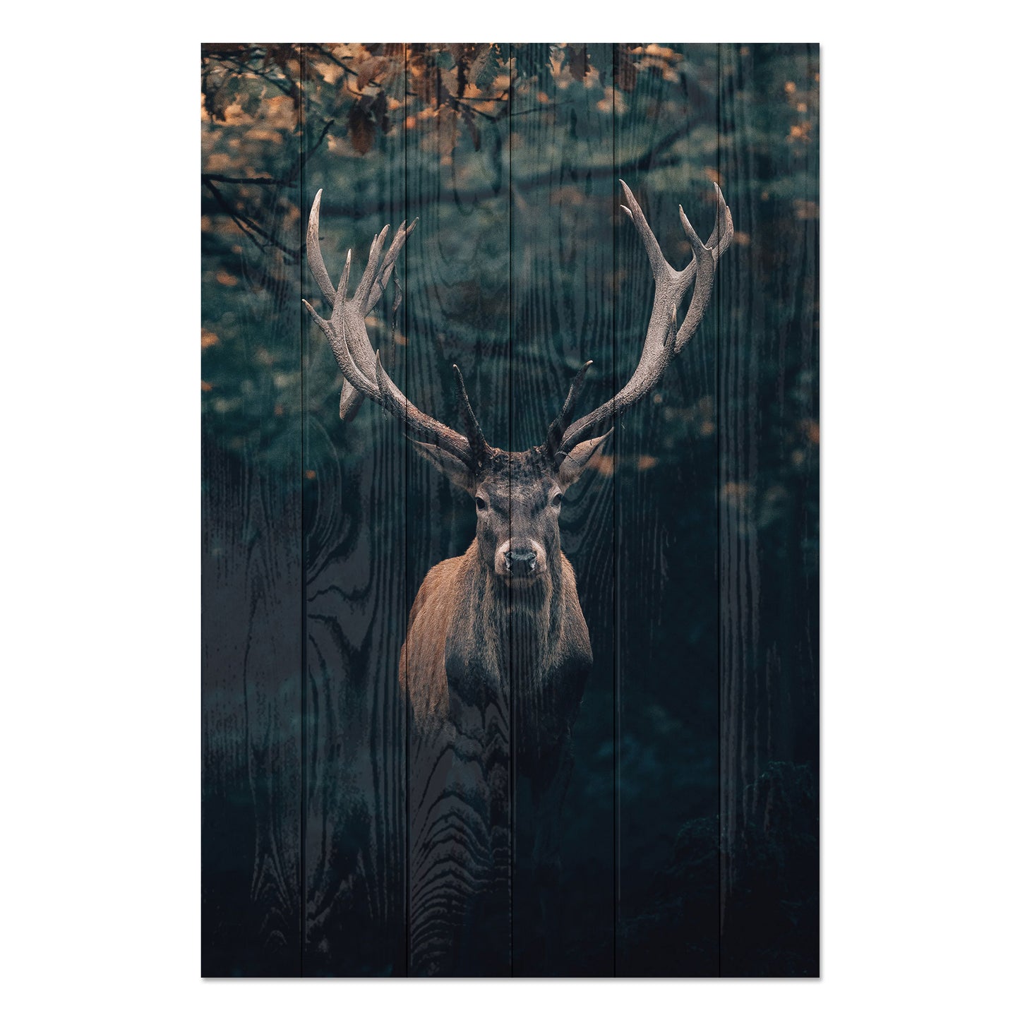 Obraz na drewnie Jesienny jeleń - Deer