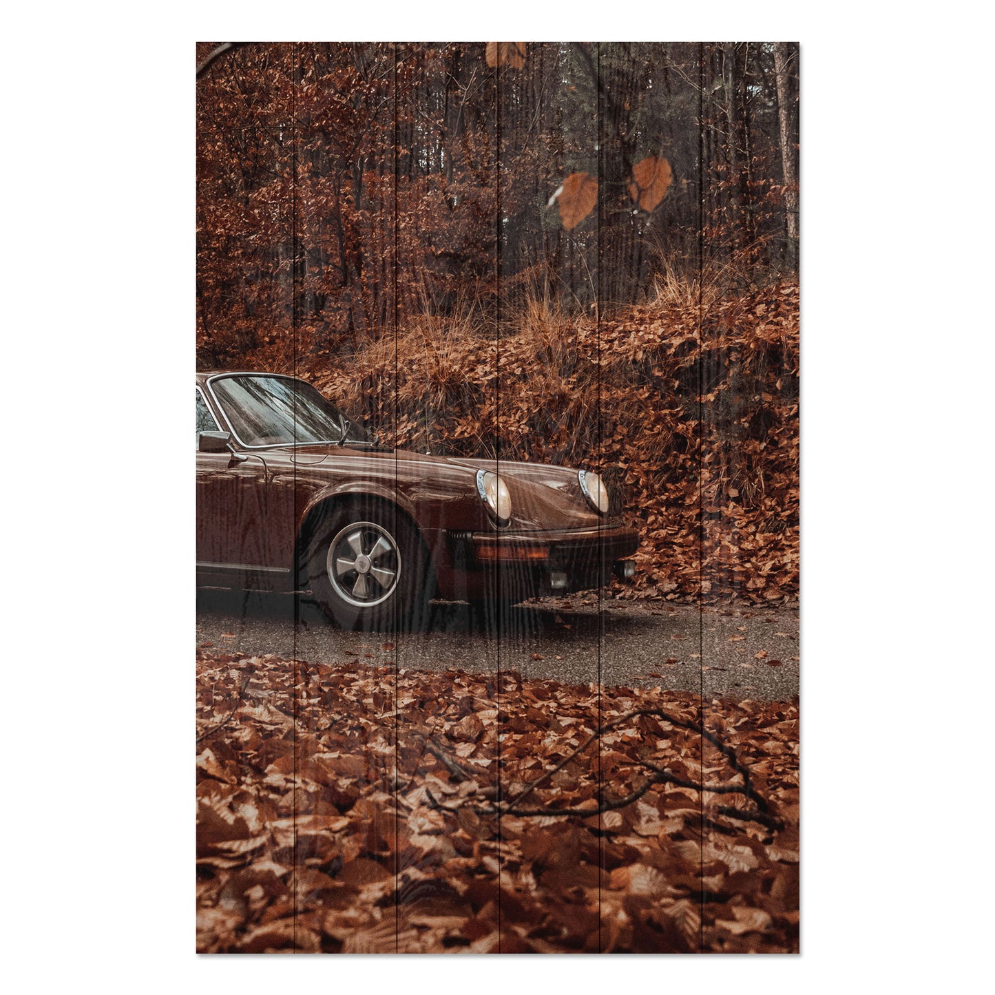 Obraz na drewnie Jesienna przejażdżka - Field Brown