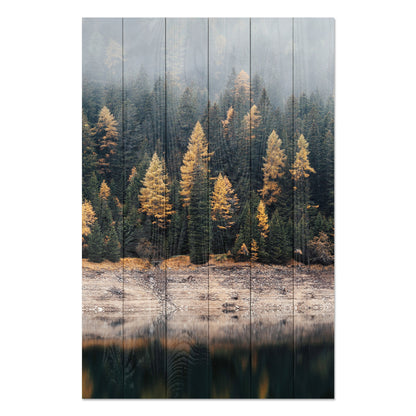 Obraz na drewnie Mglisty las - Foggy Forest