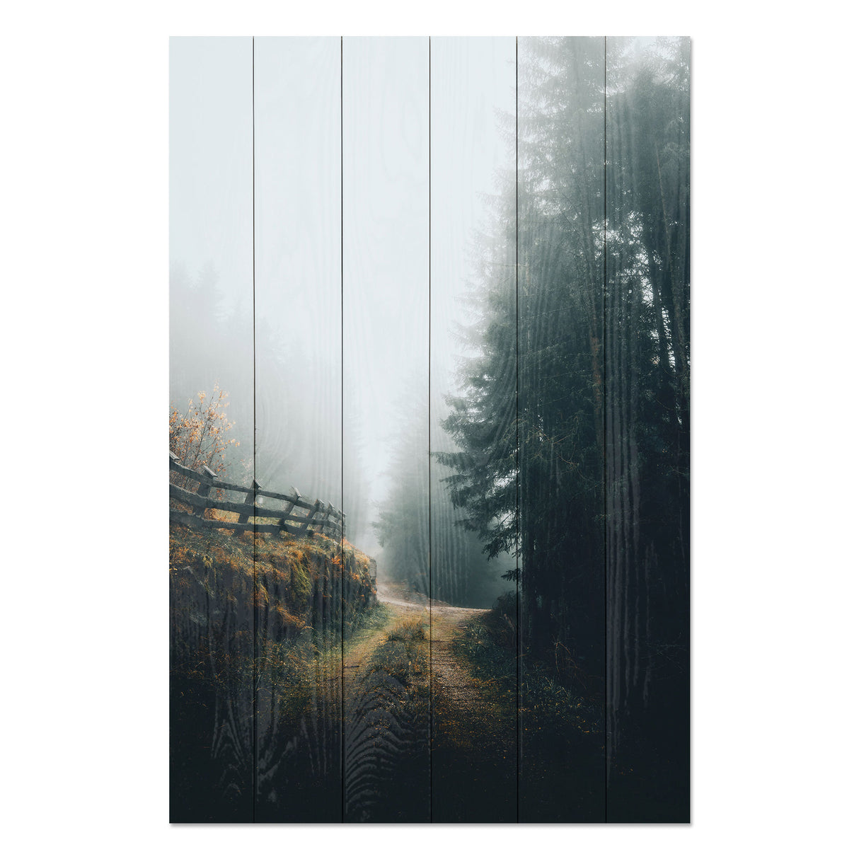 Obraz na drewnie Mgła - Foggy Landscape