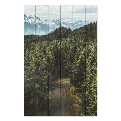 Obraz na drewnie Leśna droga - Forest Track