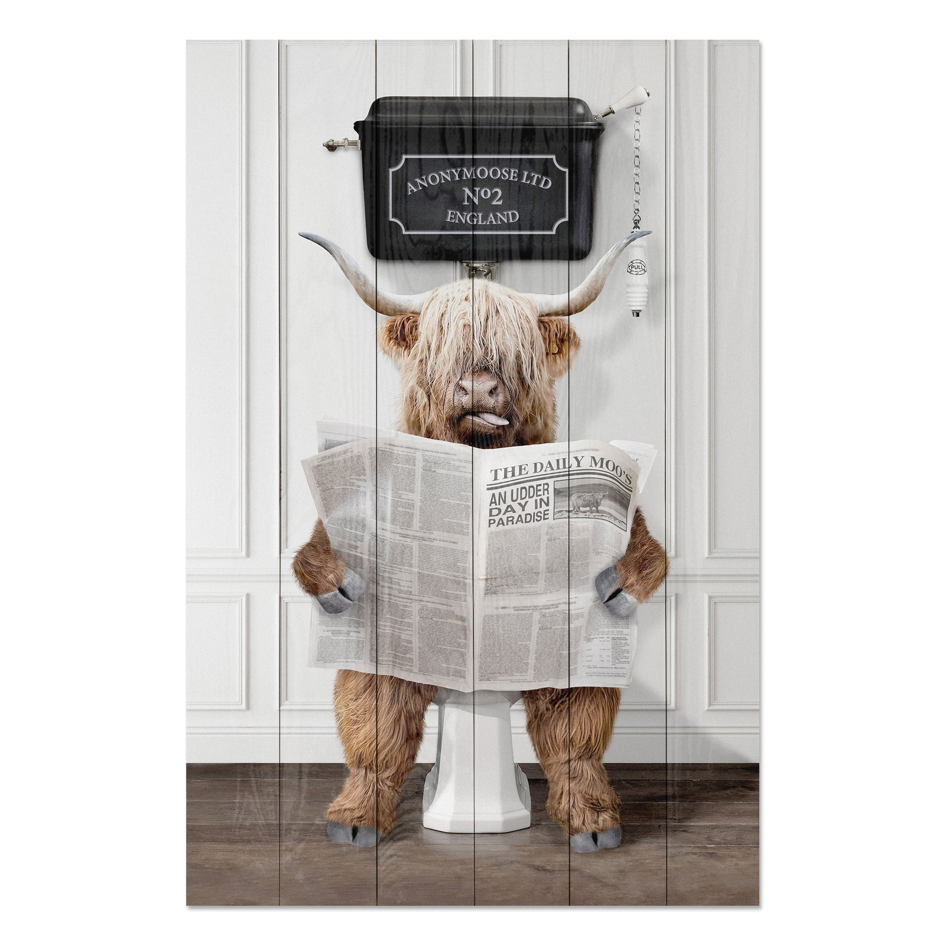 Obraz na drewnie Byk czytający gazetę - Funny Animal with Newspaper