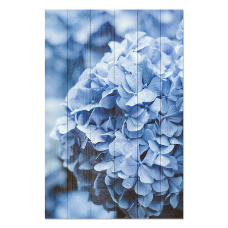 Obraz na drewnie Kwiat hortensja - Hydrangea